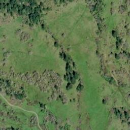 Satellite imagery of Ben Grant Ridge, US
