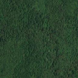 Satellite imagery of TT1950, BG