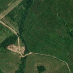 Satellite imagery of TT41, BG