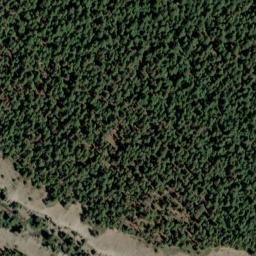 Satellite imagery of Elephants Back, US