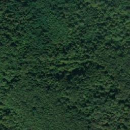 Satellite imagery of TT24, BG