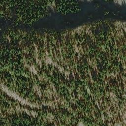 Satellite imagery of Whitehorse Bluff, US