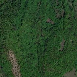 Satellite imagery of TT24, BG