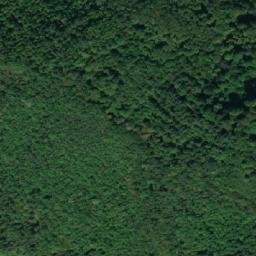 Satellite imagery of TT24, BG