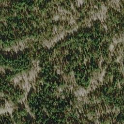 Satellite imagery of Whitehorse Bluff, US