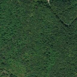 Satellite imagery of TT24, BG