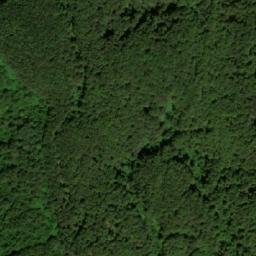 Satellite imagery of 199, BG