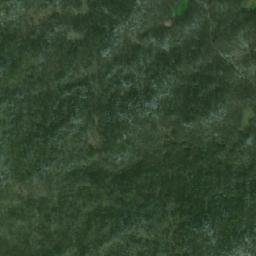 Satellite imagery of Svinja Glava, BA