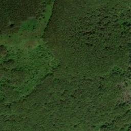 Satellite imagery of Miloslavska Planina, BG