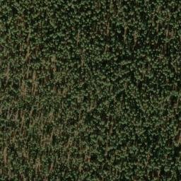 Satellite imagery of Grayback Ridge, US