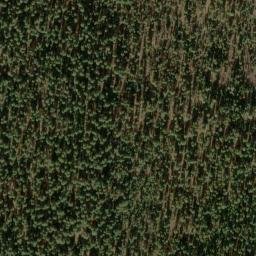 Satellite imagery of Grayback Ridge, US