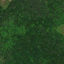 Satellite imagery of Bear Hill, US