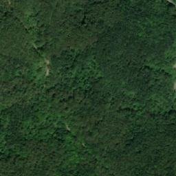 Satellite imagery of TT61, BG