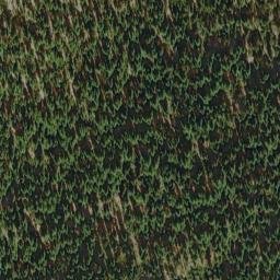 Satellite imagery of Bear Bluff, US