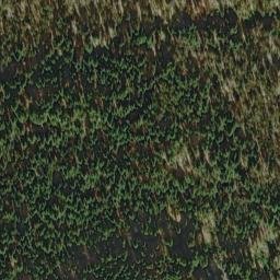 Satellite imagery of Bear Bluff, US