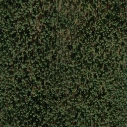 Satellite imagery of Grayback Ridge, US