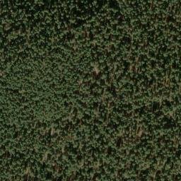 Satellite imagery of Grayback Ridge, US