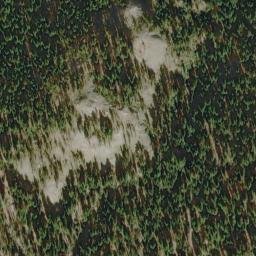 Satellite imagery of Bear Bluff, US