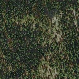 Satellite imagery of Bear Bluff, US