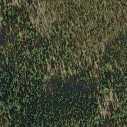 Satellite imagery of Bear Bluff, US