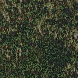 Satellite imagery of Bear Bluff, US
