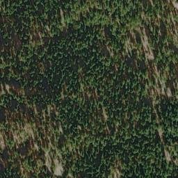 Satellite imagery of Bear Bluff, US