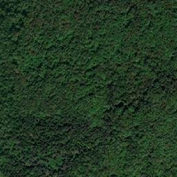 Satellite imagery of TT38, BG