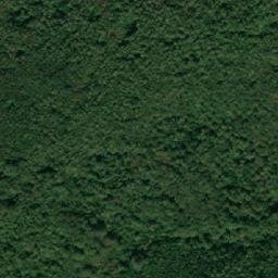 Satellite imagery of TT22, BG