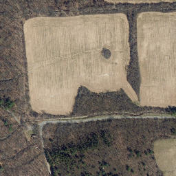 Satellite imagery of Burr Point, US