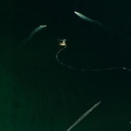 Satellite imagery of Plum Island Point, US
