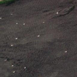 Satellite imagery of Coffin Point, US