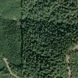 Satellite imagery of Bear Ridge, US