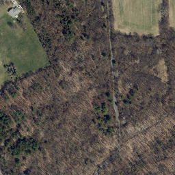 Satellite imagery of Adams Point, US