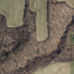 Satellite imagery of Adams Point, US
