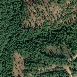 Satellite imagery of Buck Ridge, US