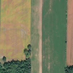 Satellite imagery of Pike's Peak, CA