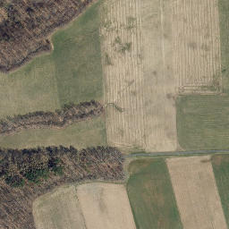 Satellite imagery of Adams Point, US