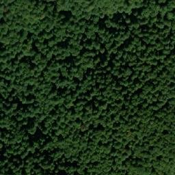 Satellite imagery of TT5, BG