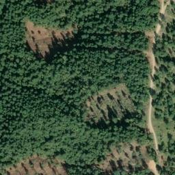 Satellite imagery of Buck Ridge, US