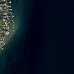 Satellite imagery of Reed Point, US
