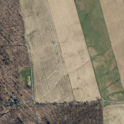 Satellite imagery of Adams Point, US