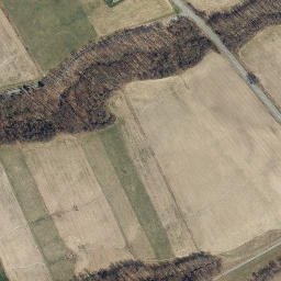Satellite imagery of Dolphin Point, US