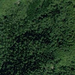 Satellite imagery of Dyado Nikolova Polyana, BG