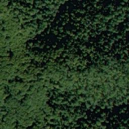 Satellite imagery of Dyado Nikolova Polyana, BG