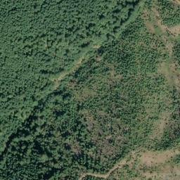Satellite imagery of Fir Point, US