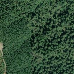 Satellite imagery of Fir Point, US