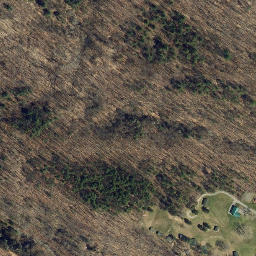 Satellite imagery of Foster Point, US
