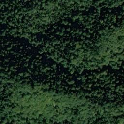 Satellite imagery of Dyado Nikolova Polyana, BG