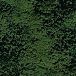 Satellite imagery of Dyado Nikolova Polyana, BG