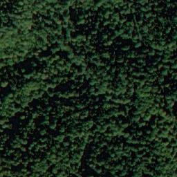 Satellite imagery of Dyado Nikolova Polyana, BG